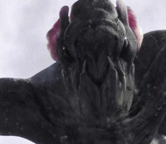 Cloverfield… Va-t-on enfin connaitre son nom !?